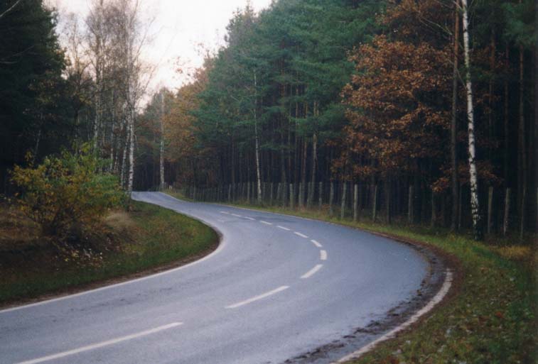 Bild 2: Waldstrasse